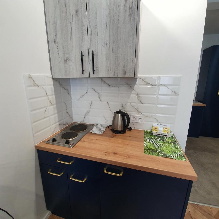 Apartament Ice *