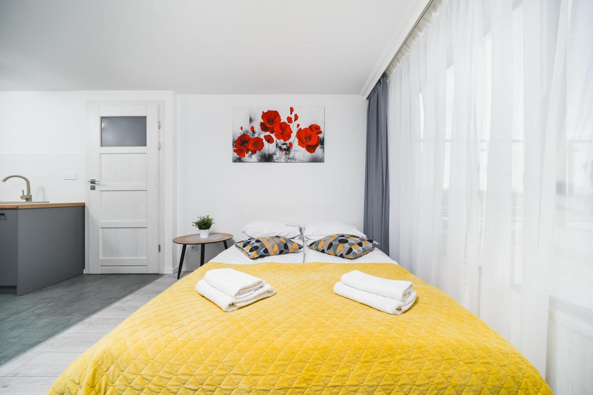 Apartament Ice *