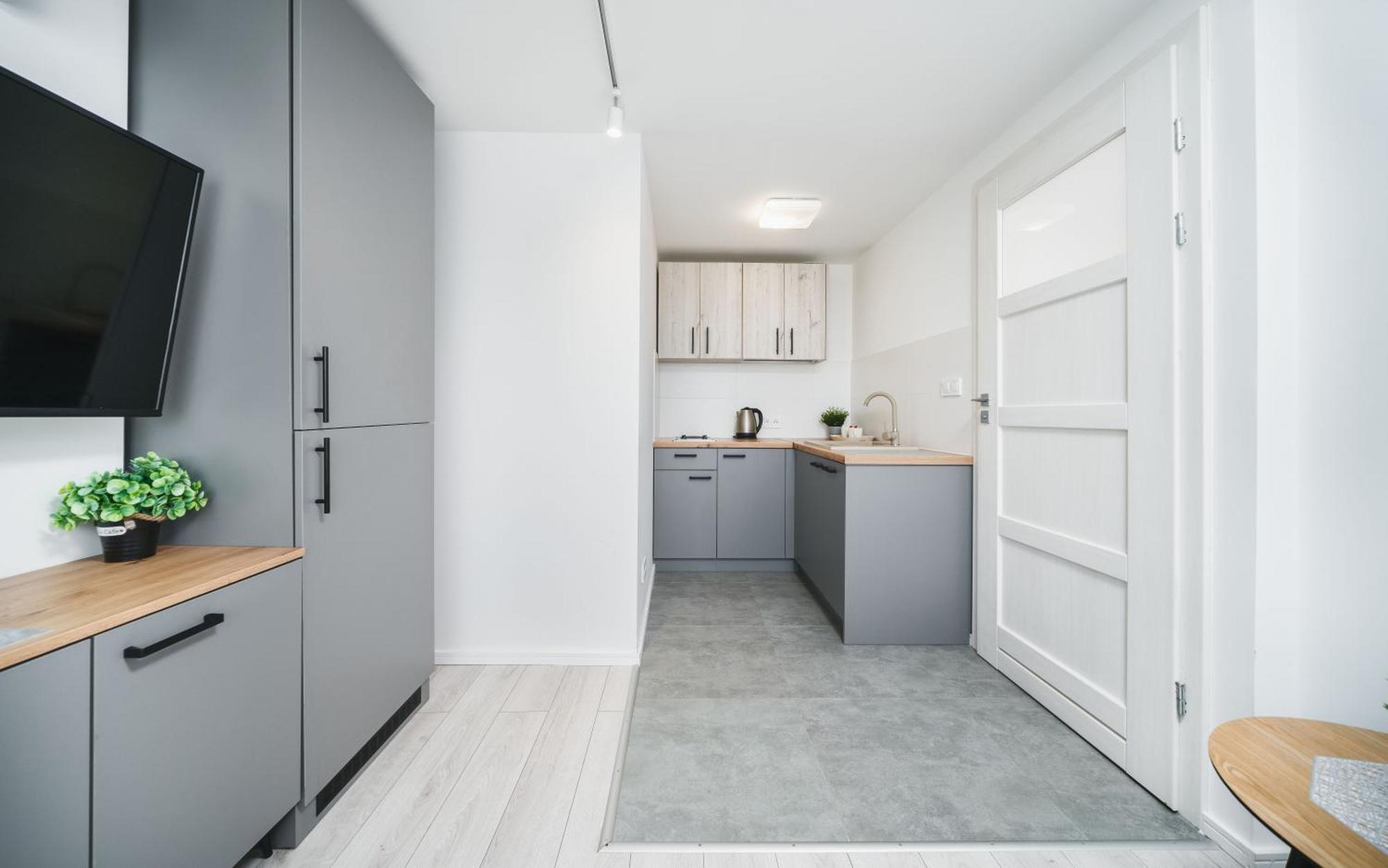 Apartament Ice